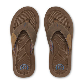 Thumbnail 2: BROWN