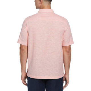 Thumbnail 2: Coral