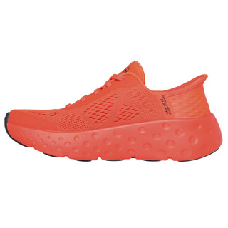 Thumbnail 4: CORAL