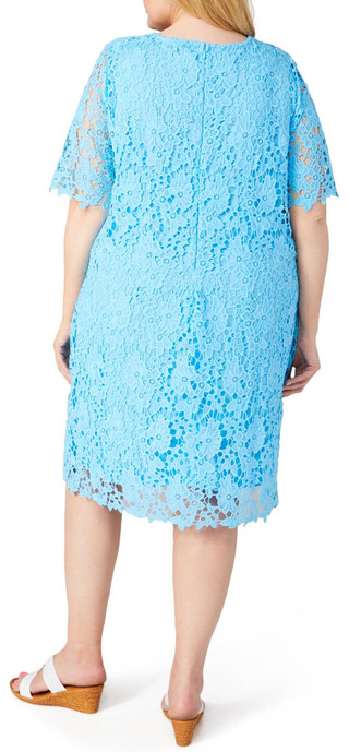 Thumbnail 2: Carolina Blue