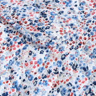 Thumbnail 28: Blue/Red
