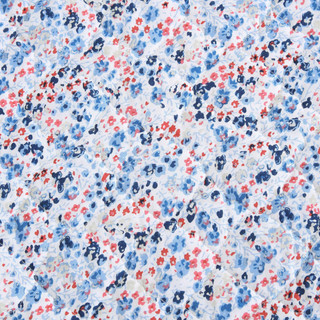 Thumbnail 18: Blue/Red