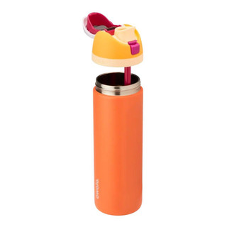 Thumbnail 5: Orange