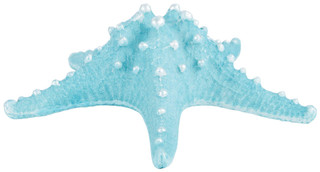 Thumbnail 3: Turquoise