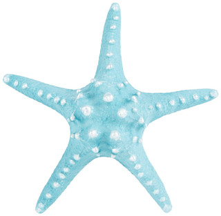 Thumbnail 1: Turquoise