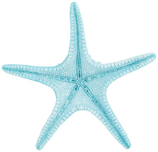Thumbnail 2: Turquoise