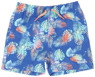Thumbnail 1: PALMS