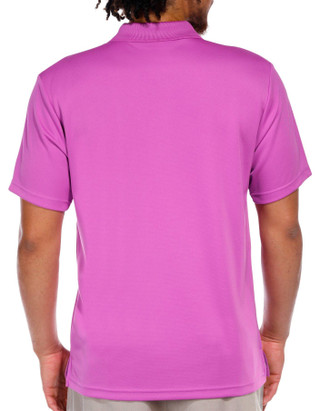 Thumbnail 2: IRIS ORCHID