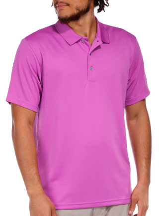 Thumbnail 1: IRIS ORCHID