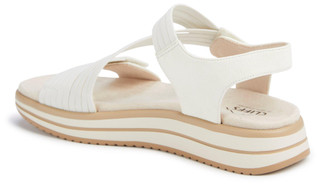 Thumbnail 2: White Nubu