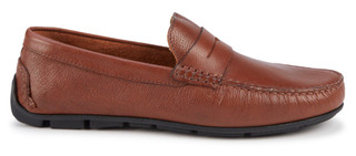 Thumbnail 5: BROWN