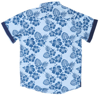 Thumbnail 2: BLUE