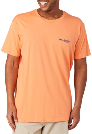 Thumbnail 1: CORAL