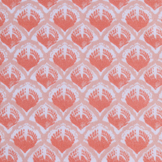 Thumbnail 3: Coral