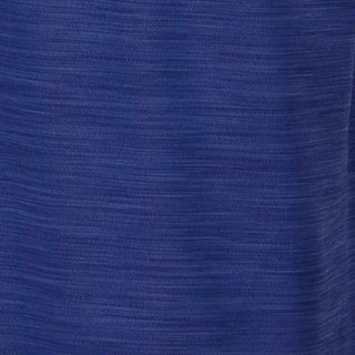 Thumbnail 10: Skipper Blue