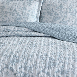 Thumbnail 19: Blue