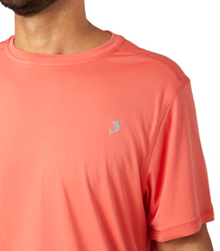 Thumbnail 3: SPICED CORAL