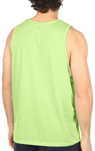 Thumbnail 2: LIME
