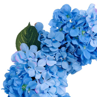 Thumbnail 2: BLUE