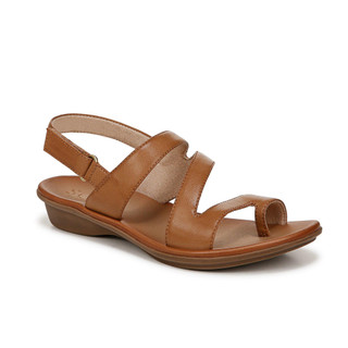 Thumbnail 1: Brown