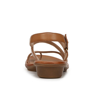 Thumbnail 6: Brown