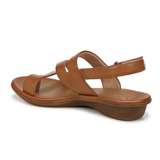Thumbnail 5: Brown