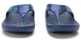 Thumbnail 6: Blue