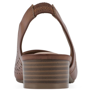 Thumbnail 6: CHESTNUT