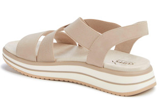 Thumbnail 2: Taupe