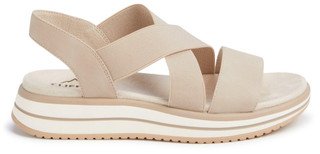 Thumbnail 3: Taupe