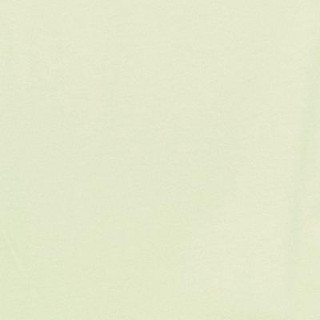 Thumbnail 6: Bright Green