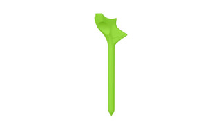 Thumbnail 2: Green