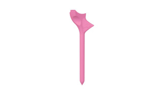 Thumbnail 2: Pink