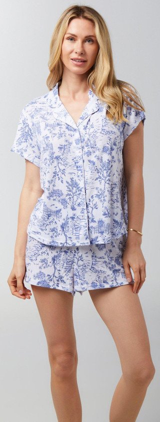 Thumbnail 1: Blue Toile