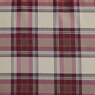 Thumbnail 4: Flag Red