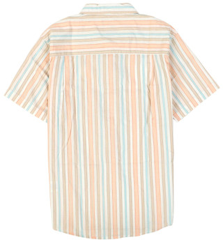 Thumbnail 2: PEACH