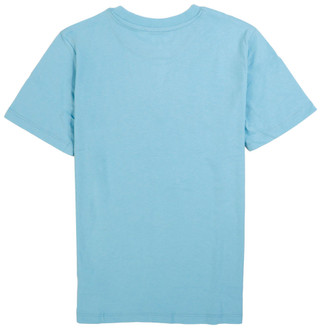 Thumbnail 3: BLUE