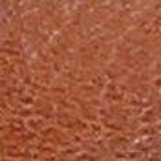 Thumbnail 8: Scotch Brown