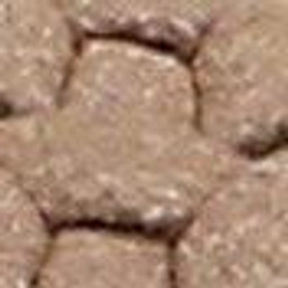 Thumbnail 8: Oak Tan