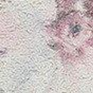 Thumbnail 8: Light Grey