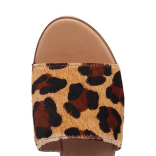 Thumbnail 6: LEOPARD