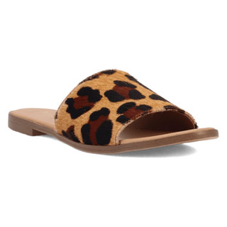 Thumbnail 1: LEOPARD