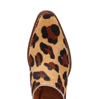 Thumbnail 6: LEOPARD