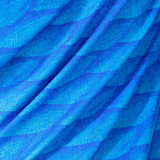 Thumbnail 2: BLUE