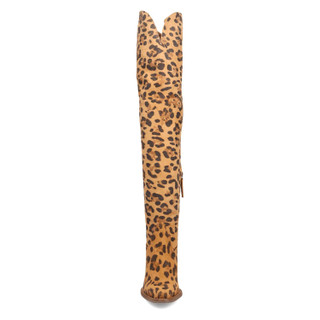Thumbnail 4: LEOPARD
