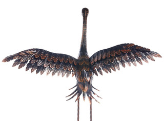 Thumbnail 4: RUST/COPPER