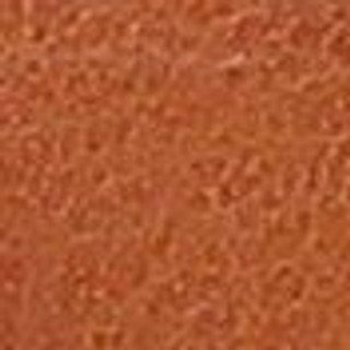 Thumbnail 8: Scotch Brown