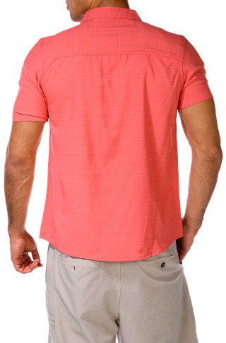 Thumbnail 2: SPICED CORAL