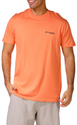 Thumbnail 2: ORANGE