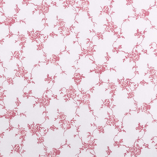 Thumbnail 12: Betsey Johnson Betsey Johnson Floral Toile Sheet Set 